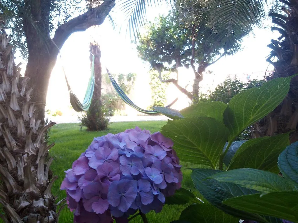 Nora Guesthouse Rooms And Villas Pula 0*,